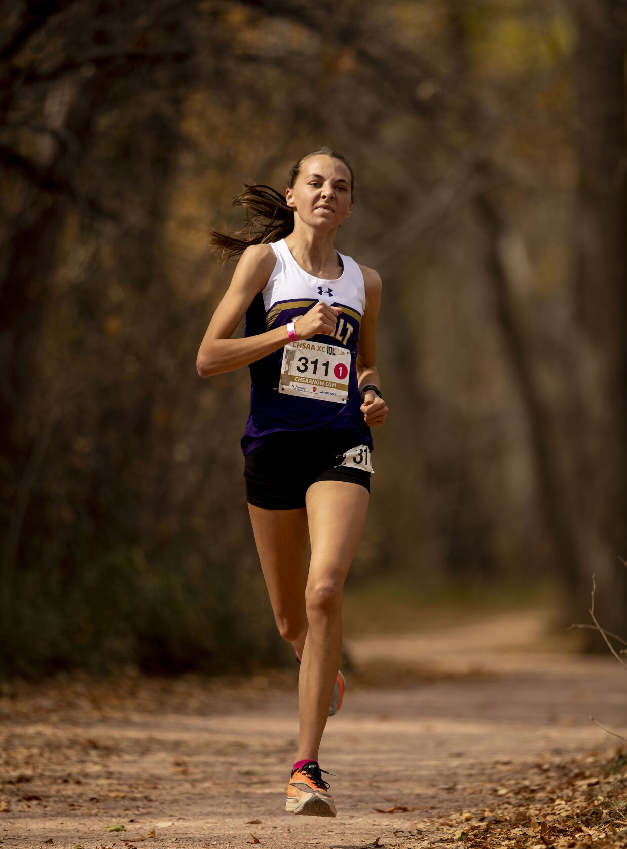 KatelynMaley-Basalt 01.jpg